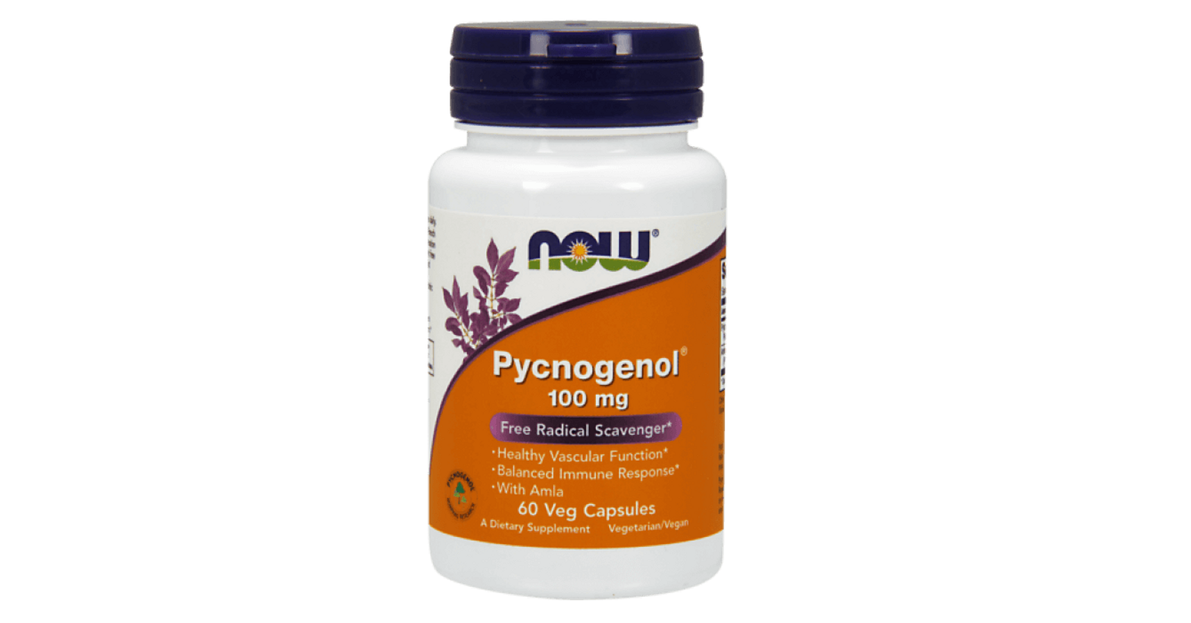 NOW Now Pycnogenol® 100 mg 60 Veg Capsules Greenpatika