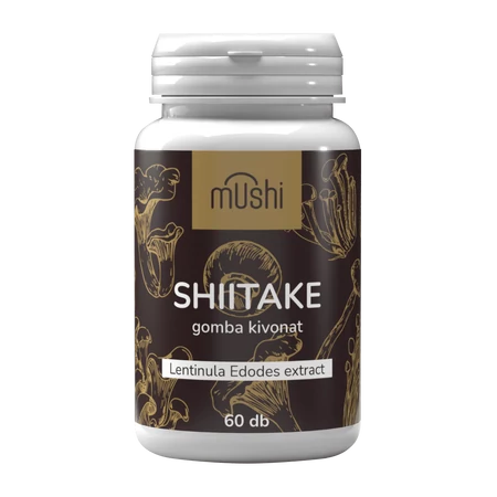 Mushi Shiitake gomba kivonat