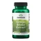 Swanson Ginkgo Biloba Extract 120 mg - 100 Veggie Capsules