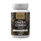 Mushi Chaga gomba kivonat