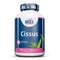 Haya Labs Cissus 500 mg - 100 Capsules