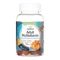 Swanson Adult Multivitamin - 60 Gummies