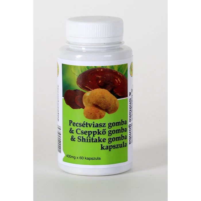 Big Star 3 gomba Cseppkő, shiitake, ganoderma gomba kapszula