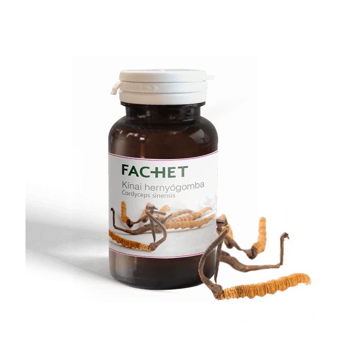 Fachet Kínai hernyógomba Ingyen kiszállítás