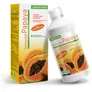 Kép 2/2 - Natur Tanya fermentált Papaya koncentrátum 500ml
