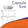 Kép 4/4 - Now L-Tyrosine 500 mg - 120 Capsules