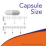 Kép 4/4 - Now Respiratory Care Probiotic - 60 Veg Capsules