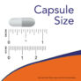 Kép 4/4 - Now Clinical GI Probiotic - 60 Veg Capsules