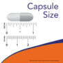 Kép 4/4 - Now Indole-3-Carbinol - 60 Veg Capsules