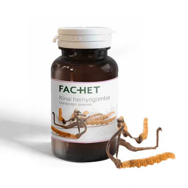 Fachet Kínai hernyógomba Ingyen kiszállítás